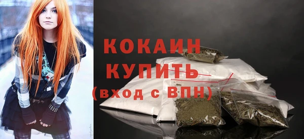 гашик Новозыбков