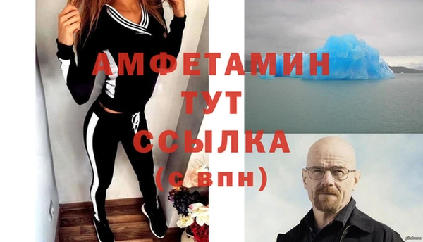 гашик Новозыбков