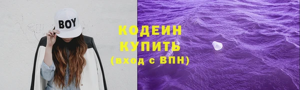 гашик Новозыбков