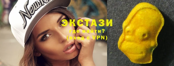гашик Новозыбков