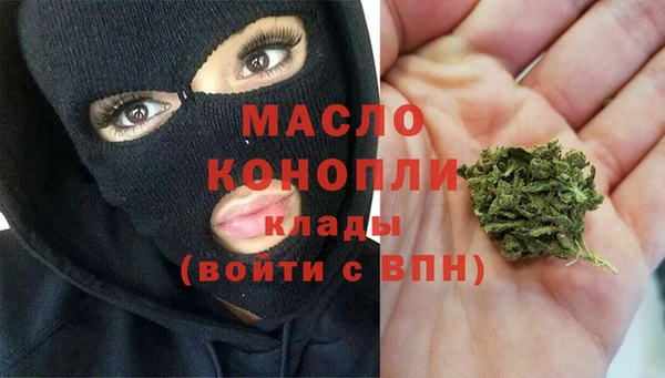 гашик Новозыбков