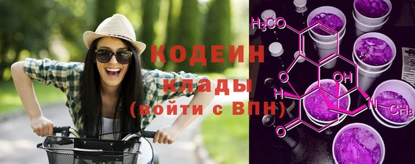 альфа пвп Новодвинск