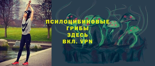 гашик Новозыбков