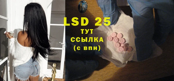 гашик Новозыбков